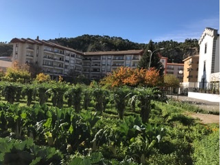 Residencia de ancianos San Jerónimo