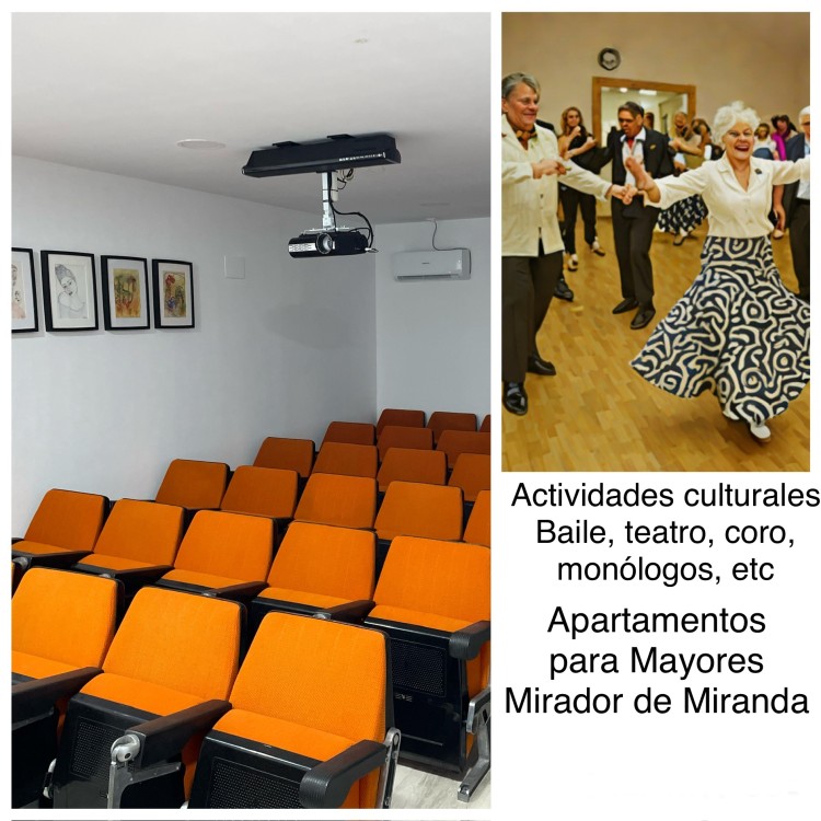 Apartamentos para mayores Mirador de Miranda