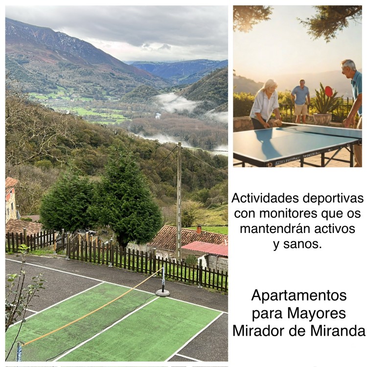 Apartamentos para mayores Mirador de Miranda