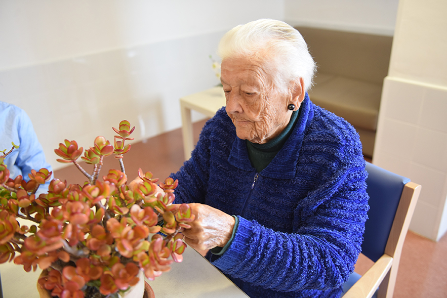 Centro de Día Seniors Pollença